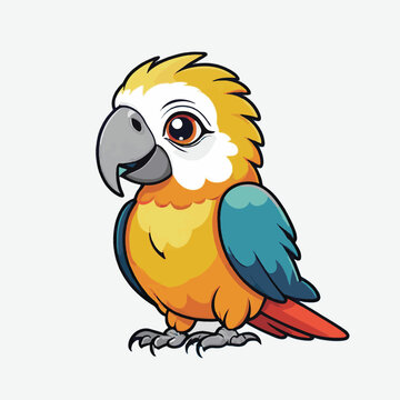 cute colorfull parrot vector isolated