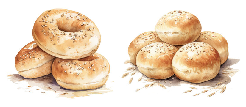 Pile of watercolor Kaiser rolls and Bagels with seeds