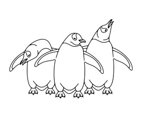 Subantarctic penguin or gentoo penguins. Animal, bird, avian, feathered, antarctica and nature, illustration