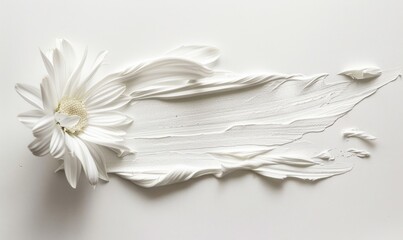White paint brush stroke and white daisy flower on while background.