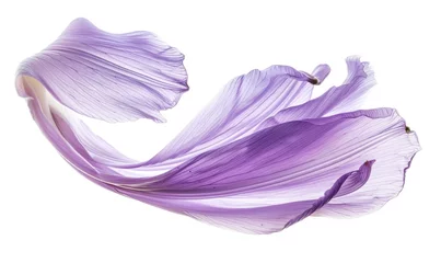Foto op Canvas Brush stroke resembling a lily petal, in serene lavender color on white background © TheoTheWizard