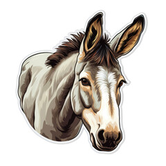 Donkey head. Hand drawn vector illustration isolated on white background.