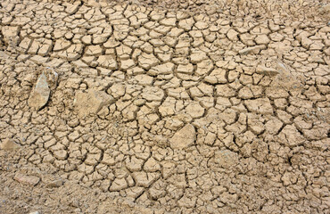 Drought with Cracking and Dried Mud Flats