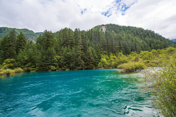 Bonsai beach waterfall in Jiuzhaigou, Sichuan, China