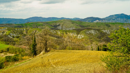 Panorama di colline e calanchi gessosi dell'Appennino Emiliano. Provincia di Bologna, Emilia...