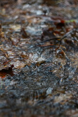close up of a stone
