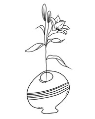 Set of botanical line art floral leaves, plants on pot vase. Hand drawn sketch branches isolated on transparent background.