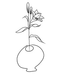 Set of botanical line art floral leaves, plants on pot vase. Hand drawn sketch branches isolated on transparent background.