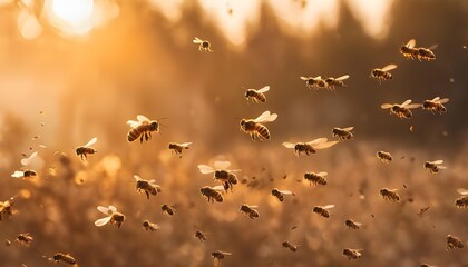 Golden Hour Harmony: Honeybees Returning to Their Hive at Sunset - obrazy, fototapety, plakaty