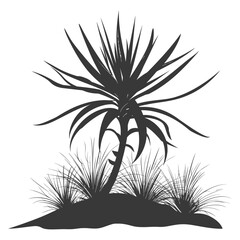 Silhouette Aloe vera tree in the ground black color only