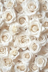 Textured background of snow-white beautiful and delicate roses