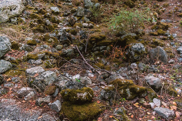 Picturesque ruins of the ancient city of Olympos, in Turkey. Ruins of the ancient city of Olympos near the village of Cirali in Turkey.