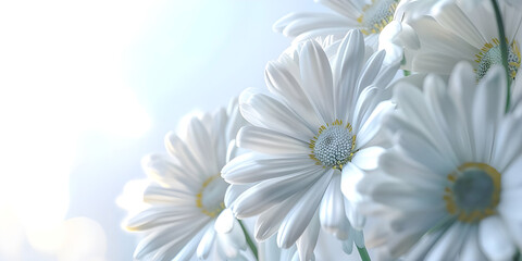 White daisies on the background of the blue sky, Floral background - Ai Generated