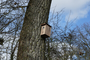 Wooden birdhouse. It is attached to a tree.