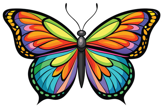 colorful butterfly black outline vector 