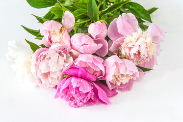 Bunch of pink peony flowers on a white background; Wedding or birthday concept