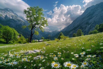 alpine meadow with flowers and wildflowers in the mountains - obrazy, fototapety, plakaty