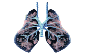 AI models can use medical data and history of health changes to predict lung disease risk. and helps in planning the prevention and treatment of lung disease at a more advanced stage. Isolated on tran