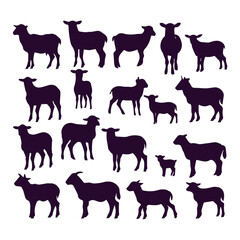 flat design lamb silhouette collection
