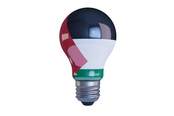 Luminous Beacon of Hope: A Lightbulb Adorned with the Palestinian Flag Colors