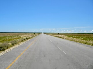 Straight road in Pandamatenga, Botswana, Southern Africa.