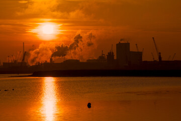 Fototapeta premium Sunset at Pialassa Piomboni, Ravenna (Italy)