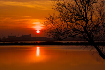 Sunset at Pialassa Piomboni, Ravenna (Italy)
