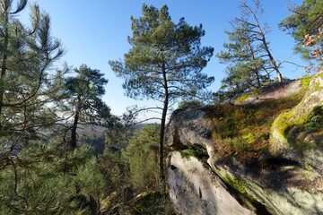 Hills of the Dame Jouanne rock in the Fontainebleau massif - 759973533