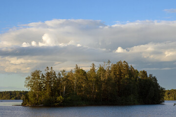 Insel mit Bäumen am See in Schweden mit Wald.