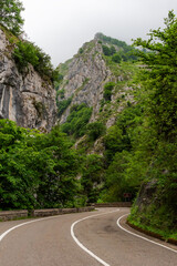 Road that runs through the Los Beyos gorge next to the Sella River and between the municipalities of Amieva and Ponga, Asturias.