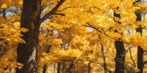 autumn branches with yellow leaves Generative AI