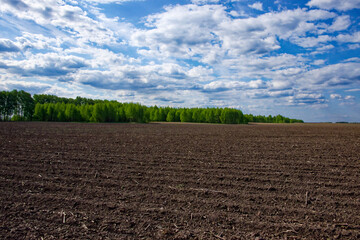 Brown soil of an empty field contrasts with the green trees and blue sky with clouds.