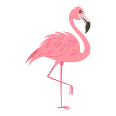 Pink flamingo hand drawn, vector illustration.