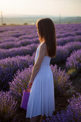 Back view of a young girl poses in a field of lavender flowers at sunset.