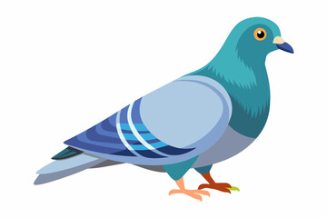  Pigeon, flat style, vector illustration artwork