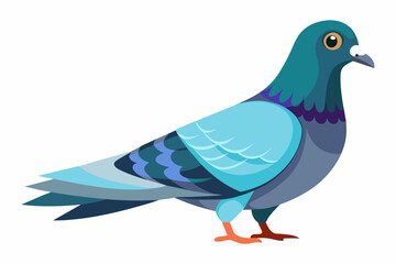  Pigeon, flat style, vector illustration artwork
