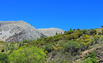 Grèce montagne et Mont Parnasse