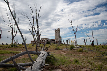 Edificio abandonado en ruinas con árboles secos en primer plano y alrededor