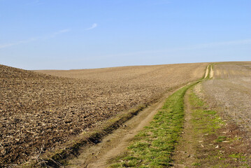 Fototapeta na wymiar plowed field in spring