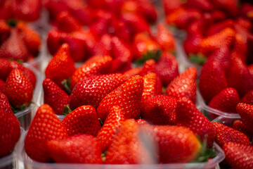 strawberries on the market