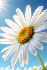 Skyward Grace: A delicate daisy, its white petals a stark contrast against the clear blue sky, reaches for the sun, embodying nature's simple elegance. generative AI
