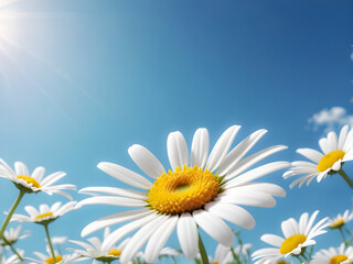 Skyward Grace: A delicate daisy, its white petals a stark contrast against the clear blue sky, reaches for the sun, embodying nature's simple elegance. generative AI