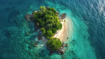 Foto op Canvas Aerial View of Tropical Island in the Ocean © yganko