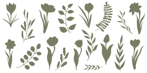 Deurstickers Set of elegant silhouettes of flowers, branches and leaves. Thin hand drawn vector botanical elements   © Tetiana Komarytska