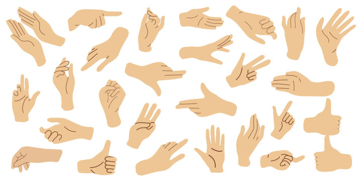 Set of hands in doodle style isolated human hands. Vector different hand positions	
