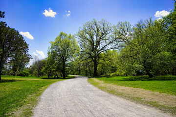 Fototapeta na wymiar Beautiful sunlit trails and paths inside Ottawa's Dominion Arboretum on a warm spring day