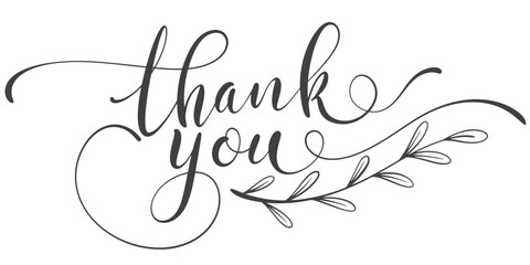 Thank you hand drawn calligraphy