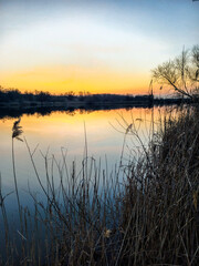 Sunset over the river and red sun . Trees on beach . Reflactions on water. Grass and trees . Red sunset . Sun and forest 