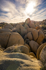 Fototapeta na wymiar Rock formations and boulders in Joshua Tree National Park, California.