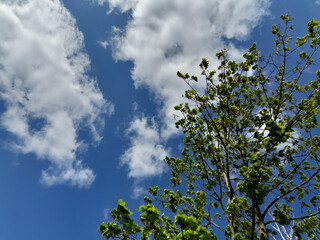 Wolkengebilde